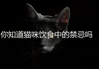 你知道猫咪饮食中的禁忌吗