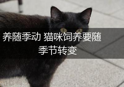 养随季动 猫咪饲养要随季节转变