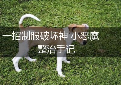 一招制服破坏神 小恶魔整治手记
