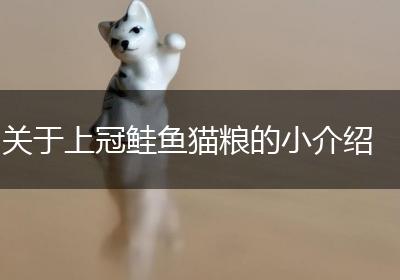 关于上冠鲑鱼猫粮的小介绍