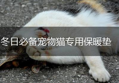 冬日必备宠物猫专用保暖垫