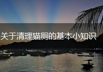 关于清理猫厕的基本小知识