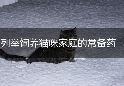 列举饲养猫咪家庭的常备药