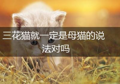 三花猫就一定是母猫的说法对吗