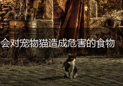 会对宠物猫造成危害的食物