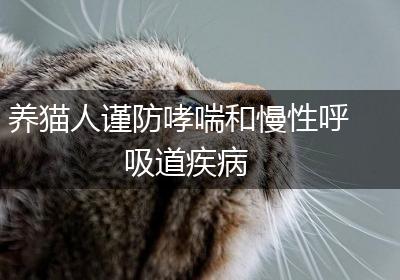 养猫人谨防哮喘和慢性呼吸道疾病