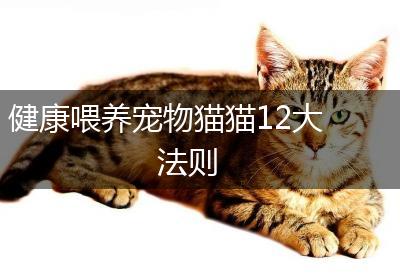 健康喂养宠物猫猫12大法则