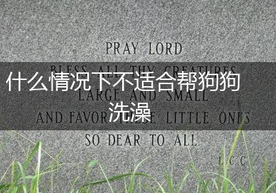 什么情况下不适合帮狗狗洗澡