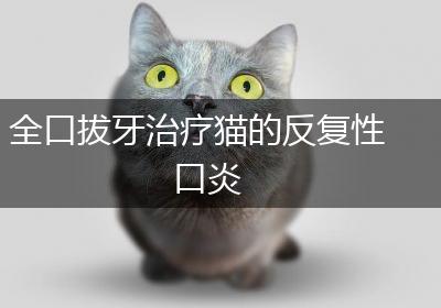 全口拔牙治疗猫的反复性口炎