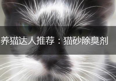 养猫达人推荐：猫砂除臭剂