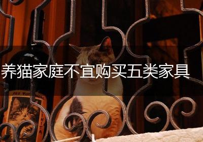 养猫家庭不宜购买五类家具