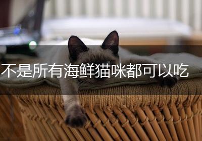 不是所有海鲜猫咪都可以吃