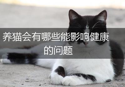 养猫会有哪些能影响健康的问题