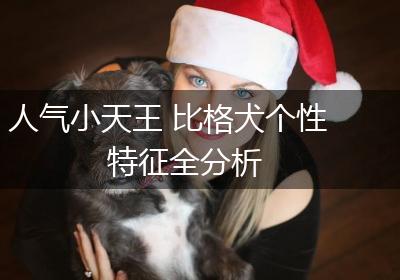 人气小天王 比格犬个性特征全分析