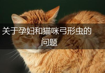 关于孕妇和猫咪弓形虫的问题