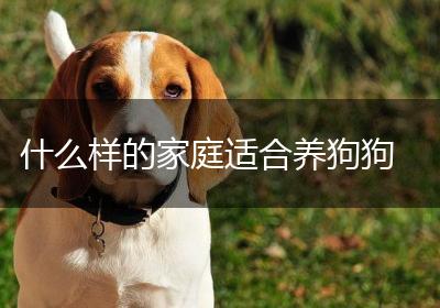 什么样的家庭适合养狗狗