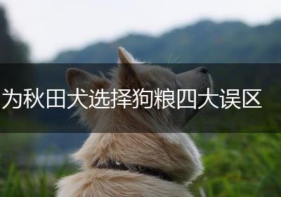 为秋田犬选择狗粮四大误区