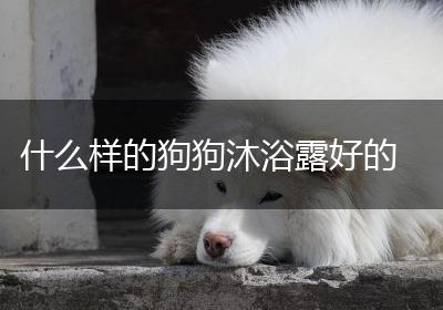 什么样的狗狗沐浴露好的