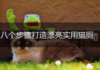 八个步骤打造漂亮实用猫厕