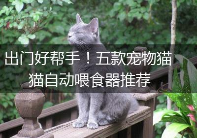 出门好帮手！五款宠物猫猫自动喂食器推荐