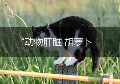 “动物肝脏 胡萝卜