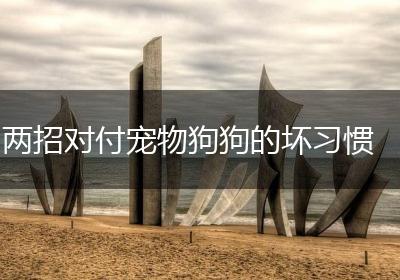 两招对付宠物狗狗的坏习惯