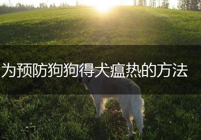 为预防狗狗得犬瘟热的方法