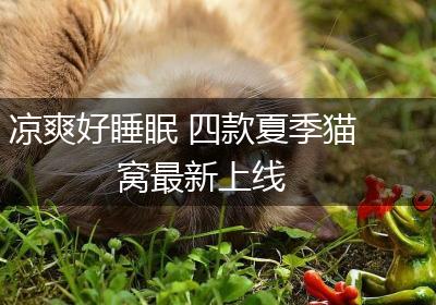 凉爽好睡眠 四款夏季猫窝最新上线