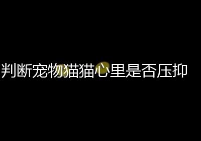判断宠物猫猫心里是否压抑