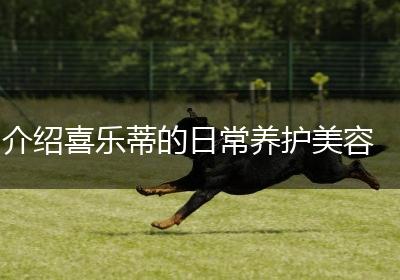 介绍喜乐蒂的日常养护美容
