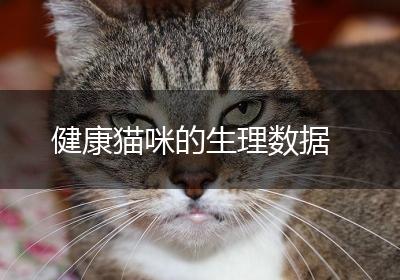 健康猫咪的生理数据