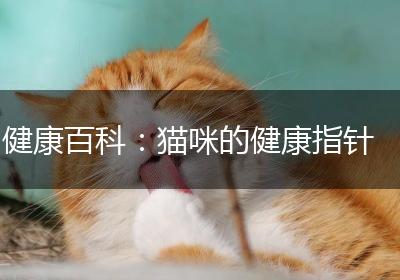 健康百科：猫咪的健康指针