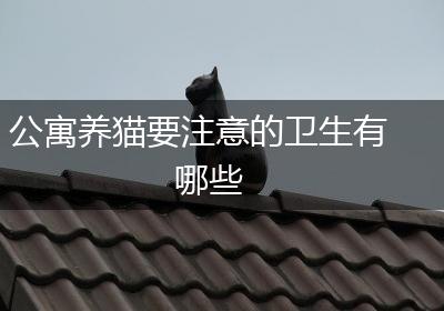 公寓养猫要注意的卫生有哪些