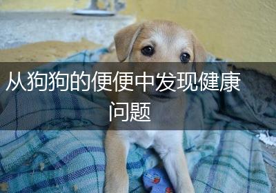 从狗狗的便便中发现健康问题