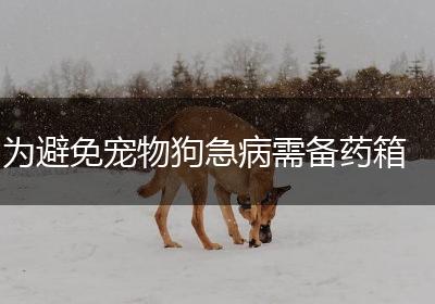 为避免宠物狗急病需备药箱