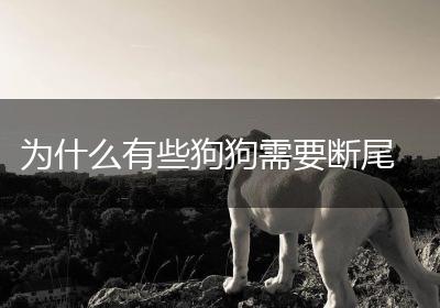 为什么有些狗狗需要断尾