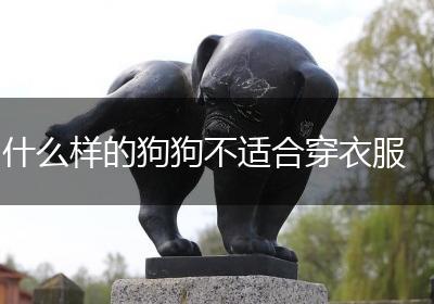 什么样的狗狗不适合穿衣服