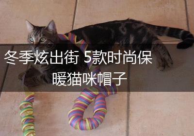 冬季炫出街 5款时尚保暖猫咪帽子