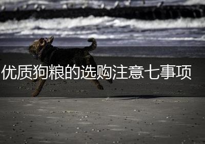 优质狗粮的选购注意七事项