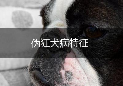伪狂犬病特征