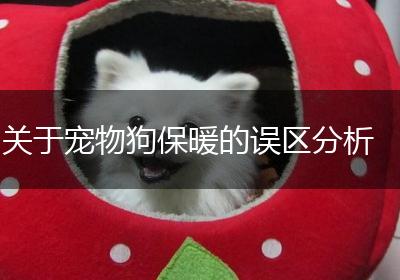 关于宠物狗保暖的误区分析