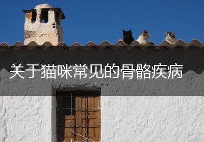关于猫咪常见的骨骼疾病