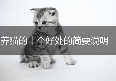 养猫的十个好处的简要说明