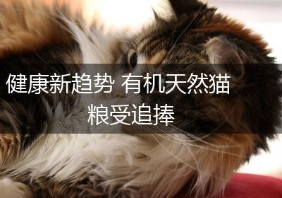健康新趋势 有机天然猫粮受追捧
