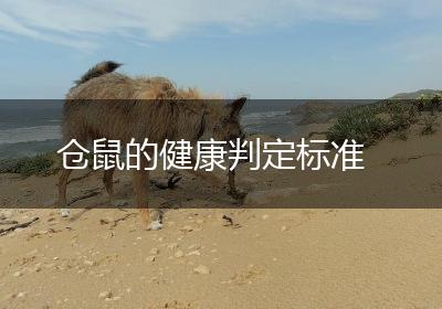 仓鼠的健康判定标准