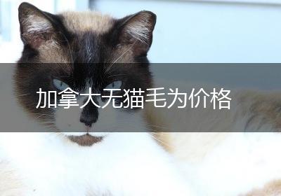 加拿大无猫毛为价格