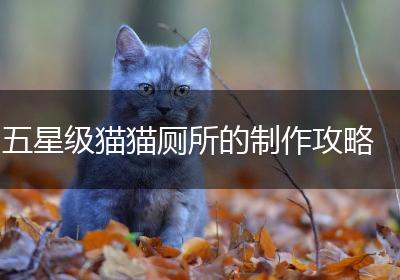 五星级猫猫厕所的制作攻略