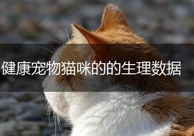 健康宠物猫咪的的生理数据