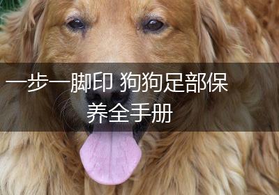 一步一脚印 狗狗足部保养全手册