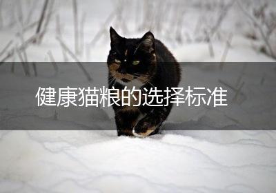 健康猫粮的选择标准